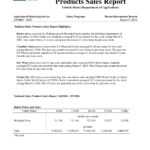 11+ Annual Sales Report Examples – Pdf, Word, Pages | Examples With Sales Representative Report Template