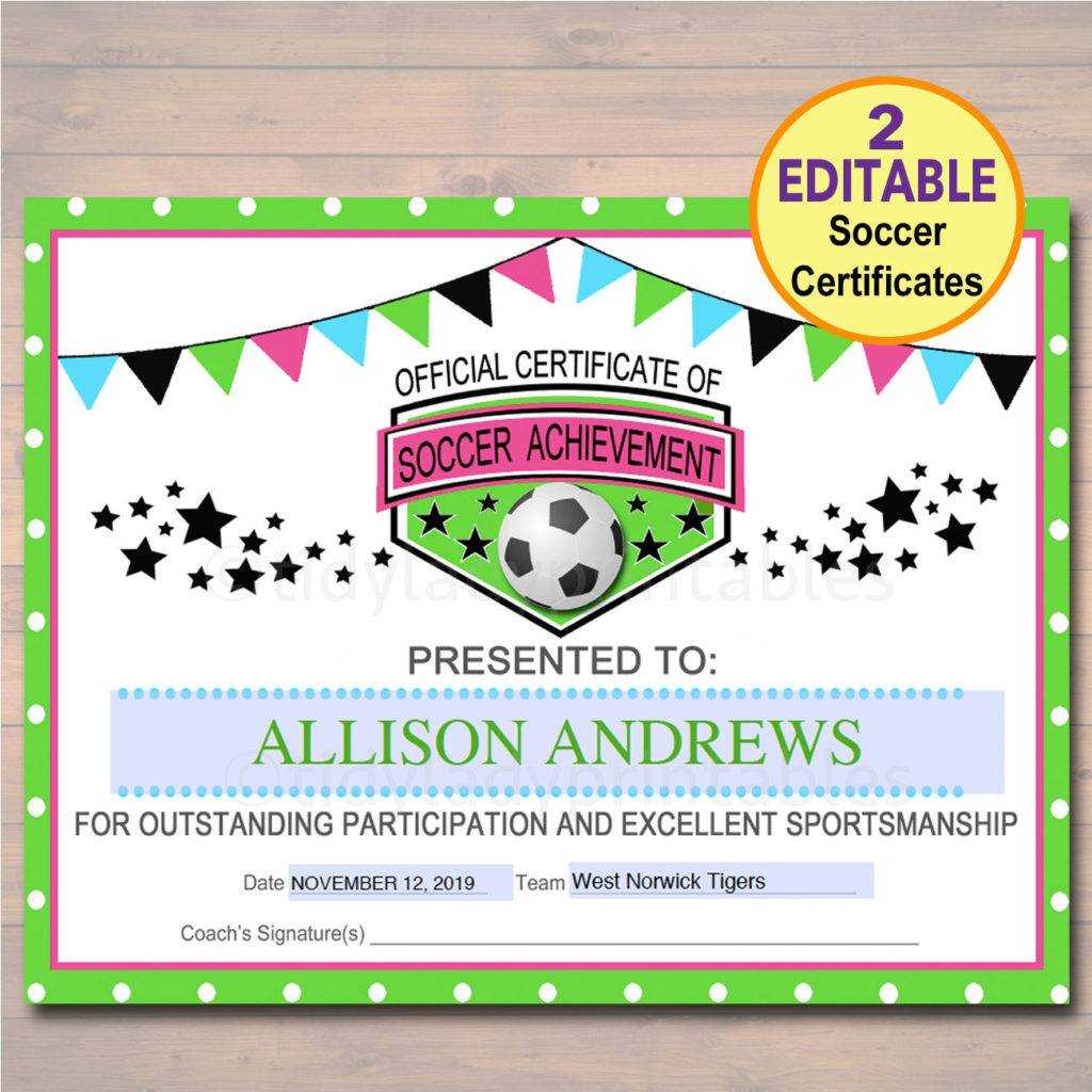 13+ Soccer Award Certificate Examples – Pdf, Psd, Ai For Soccer Certificate Templates For Word