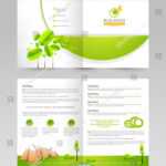 2 Page Flyer Template – Papele.alimentacionsegura Within Quarter Sheet Flyer Template Word