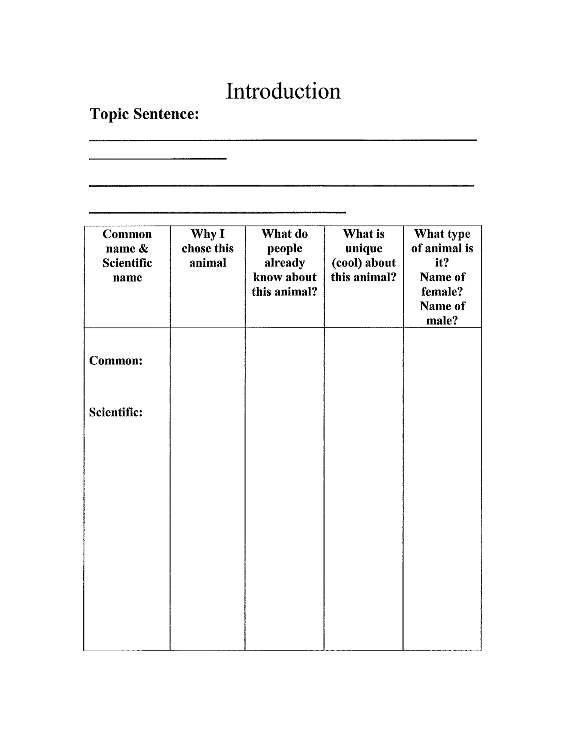 3Rd Grade Animal Report Template Free Download Pertaining To Animal Report Template