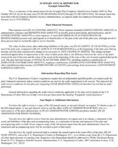 401K Summary Annual Report: Everything You Need To Know with Summary Annual Report Template