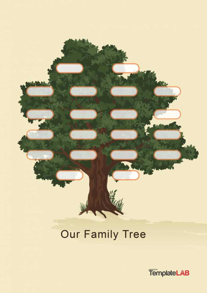 41+ Free Family Tree Templates (Word, Excel, Pdf) ᐅ Templatelab With 3 ...