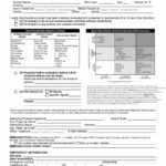 43 Physical Exam Templates & Forms [Male / Female] Throughout History And Physical Template Word
