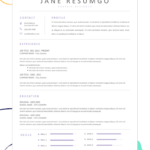 50+ Free Resume Templates For Microsoft Word To Download With Free Blank Cv Template Download