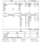 Adp Check Stub – Fill Online, Printable, Fillable, Blank In Blank Pay Stub Template Word