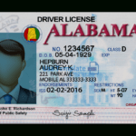 Alabama Driver License Template Regarding Blank Drivers License Template