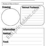 Animal Report Template – Esl Worksheetflora.m123 Throughout Animal Report Template
