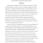 Apa – Generic Template For Apa 6 Template For Apa Research Paper Template Word 2010