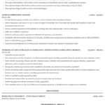 Audit Compliance Resume Sample | Mintresume In Ssae 16 Report Template