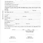 Birth Certificate Requirements | Hello Saigon! Regarding Birth Certificate Template For Microsoft Word