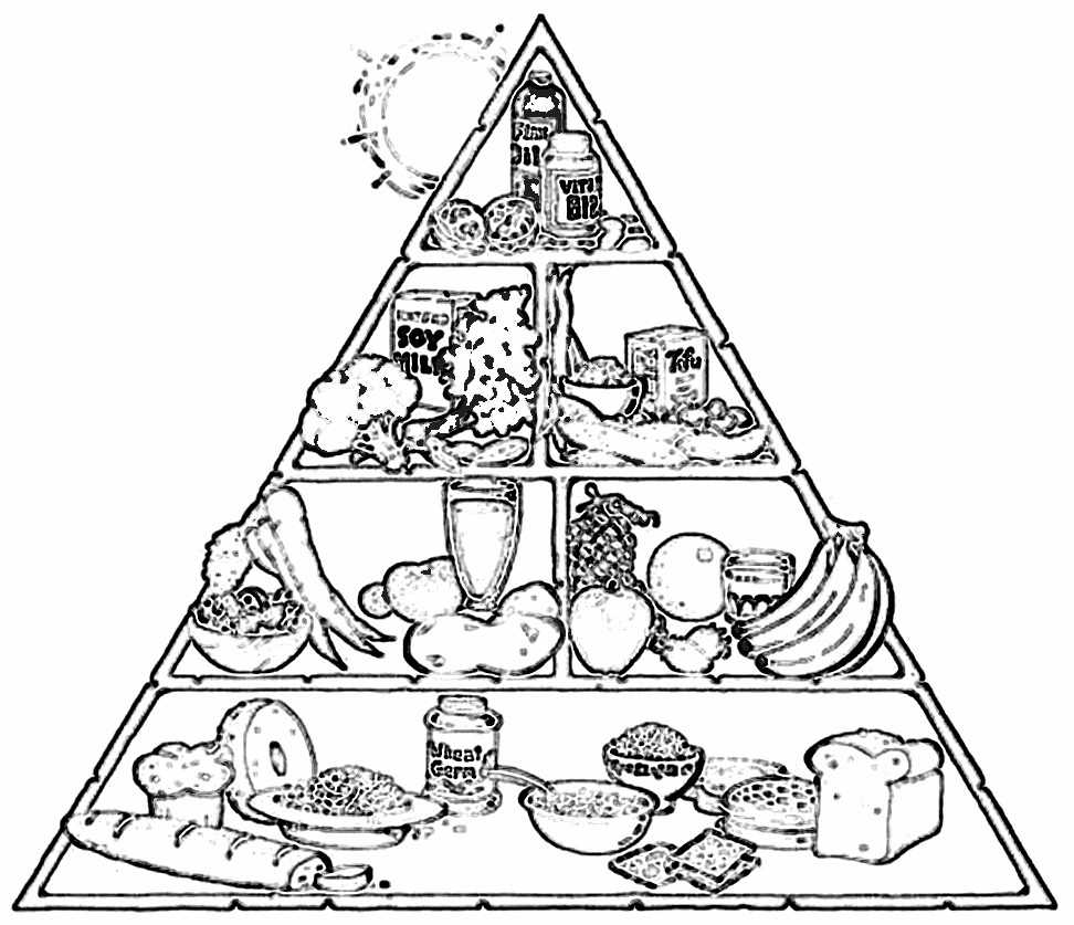 Blank Food Pyramid Template – Barati.ald2014 For Blank Food Web Template
