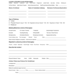 Bullying Incident Report Form In School Incident Report Template