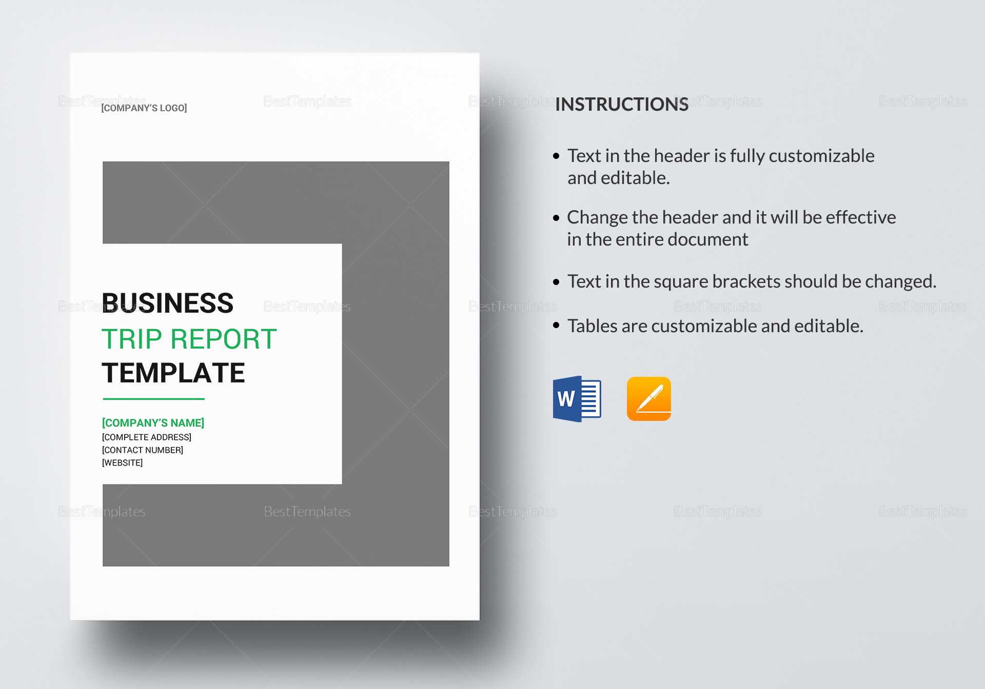 Business Trip Report Template In Business Trip Report Template