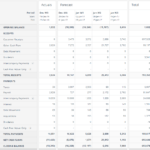 Cash Flow Forecasting Template for Liquidity Report Template