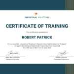 Certificate Of Training Templates – Tomope.zaribanks.co Pertaining To Training Certificate Template Word Format