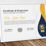 Company Certificate Word Template - Vsual intended for Professional Certificate Templates For Word