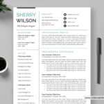 Cv Template For Ms Word, Curriculum Vitae, Editable Cv Template,  Professional & Modern Cv Template Design, Cover Letter, References, 1, 2  And 3 Page For Resume Templates Word 2010