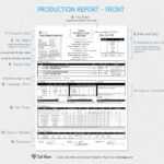 Daily Production Reports Explained (Free Template) | Sethero Throughout Production Status Report Template