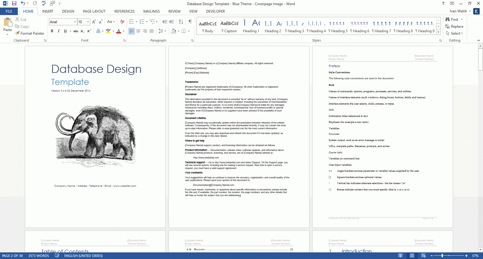 Database Design Document (Ms Word Template + Ms Excel Data Within Business Rules Template Word