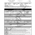 Doctor Report Template—Non Custom Header With Shop Report Template