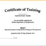 Downloadable Certificate Of Training Completion Template With Training Certificate Template Word Format