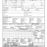 Ems Report Template Fillable – Fill Online, Printable With Regard To Patient Care Report Template