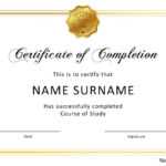 Examples Of Certificates Of Completion – Papele In Professional Certificate Templates For Word