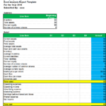 Excel Analysis Report Template – Excel Word Templates Throughout Sales Management Report Template