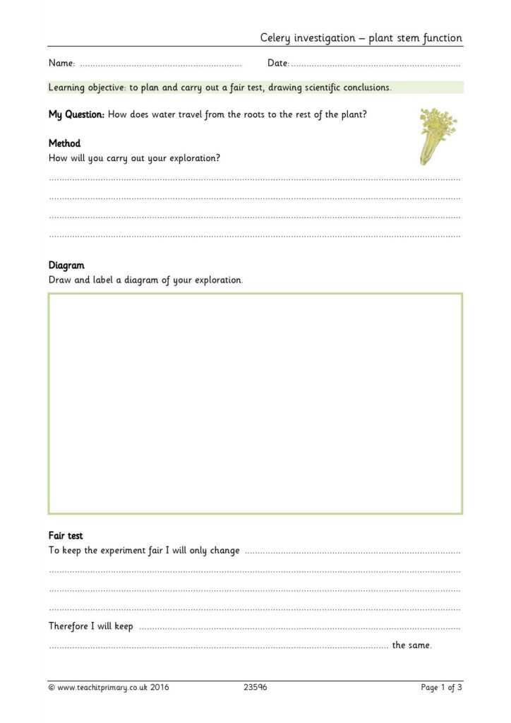 Science Report Template Ks2 - Sample Design Templates