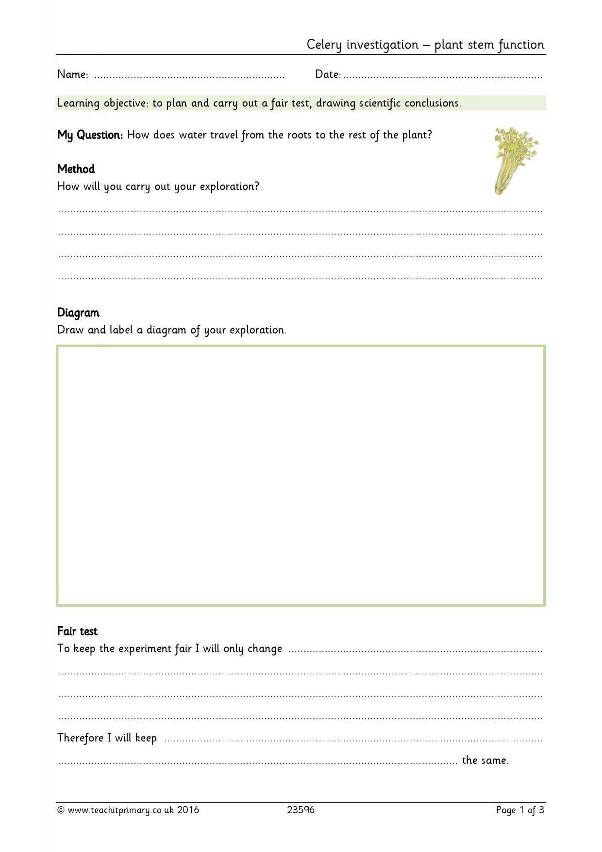 Eyfs | Ks1 | Ks2 | Investigations | Teachit Primary Pertaining To Science Report Template Ks2