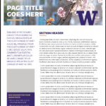 Fact Sheet | Uw Brand Intended For Fact Sheet Template Microsoft Word