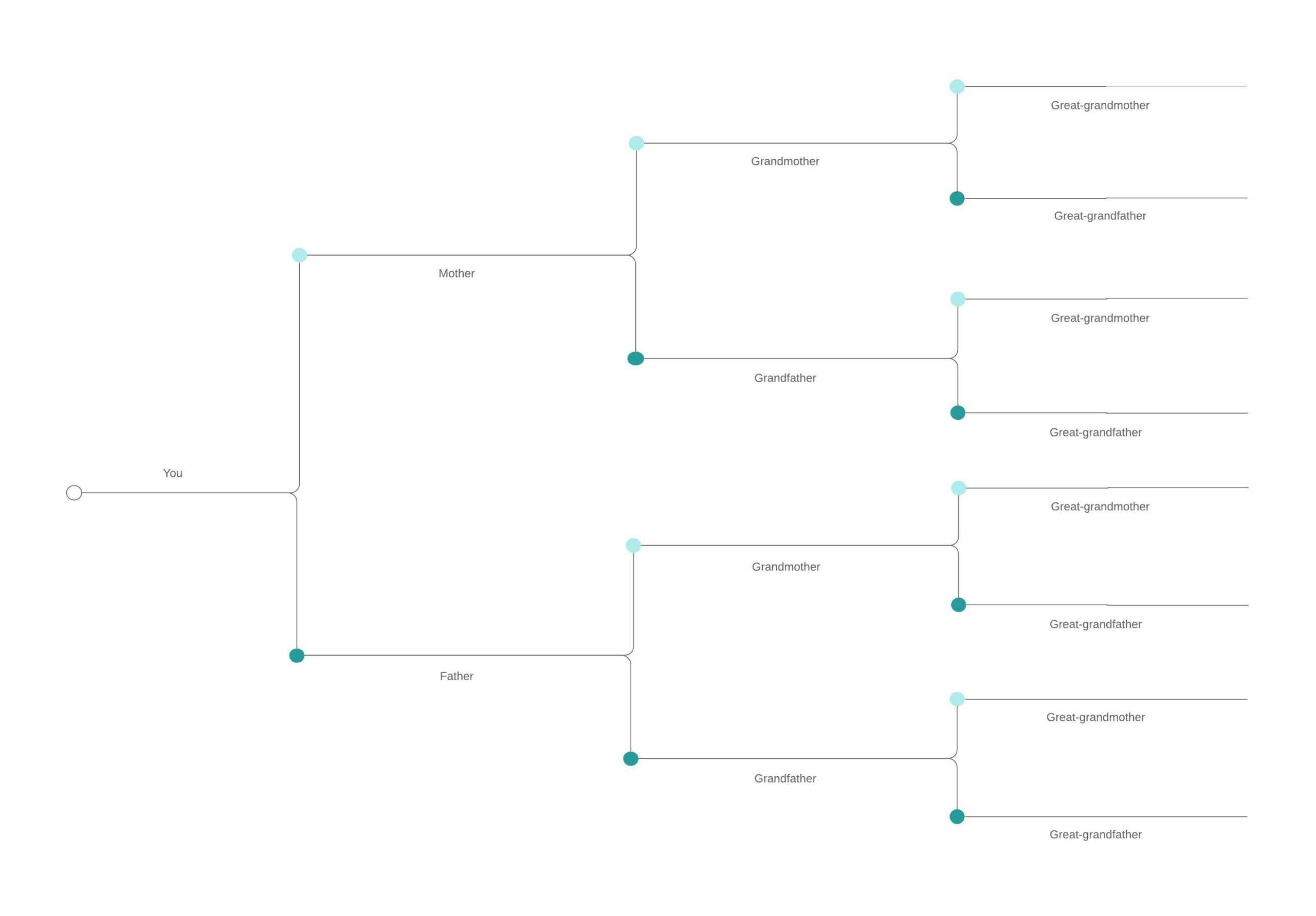 Family Tree Generator | Lucidchart With Regard To Blank Tree Diagram Template