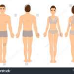 Female Body Template Images, Stock Photos & Vectors Throughout Blank Body Map Template