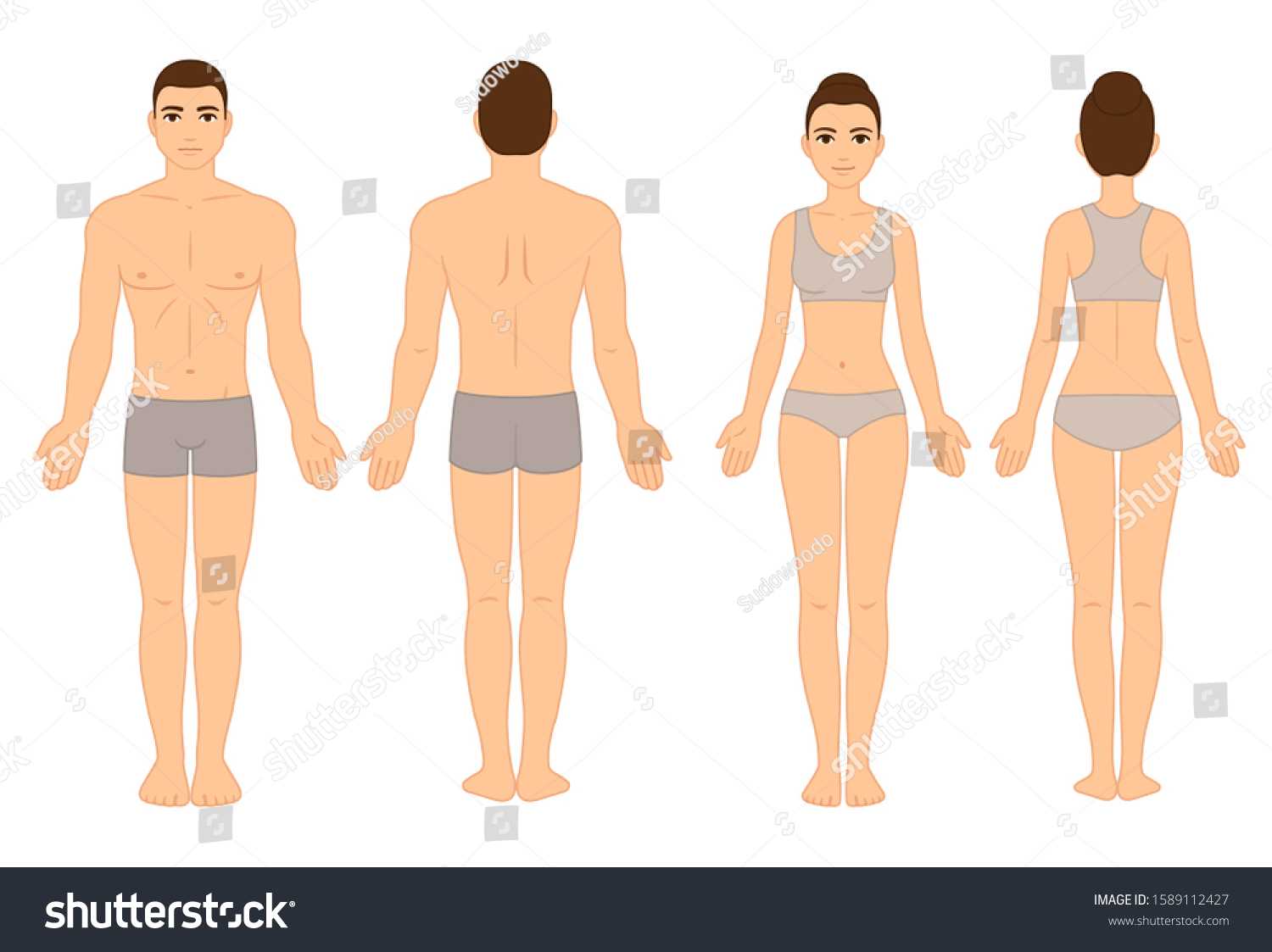 Female Body Template Images, Stock Photos & Vectors Throughout Blank Body Map Template
