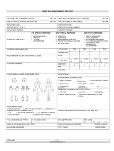 First Aid Incident Report Form Template - Best Sample Template inside First Aid Incident Report Form Template
