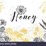 Flower Honey Vector Hand Drawn Banner Template. Natural For Homemade Banner Template