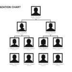 Free Organizational Chart Templates | Template Samples Throughout Free Blank Organizational Chart Template