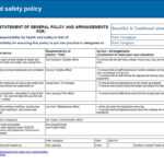 Health And Safety Implications / Risk Assessment Report Pertaining To Health Check Report Template