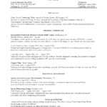 Help Writing Argumentative Essays – John G. Lake Ministries With Regard To Combination Resume Template Word