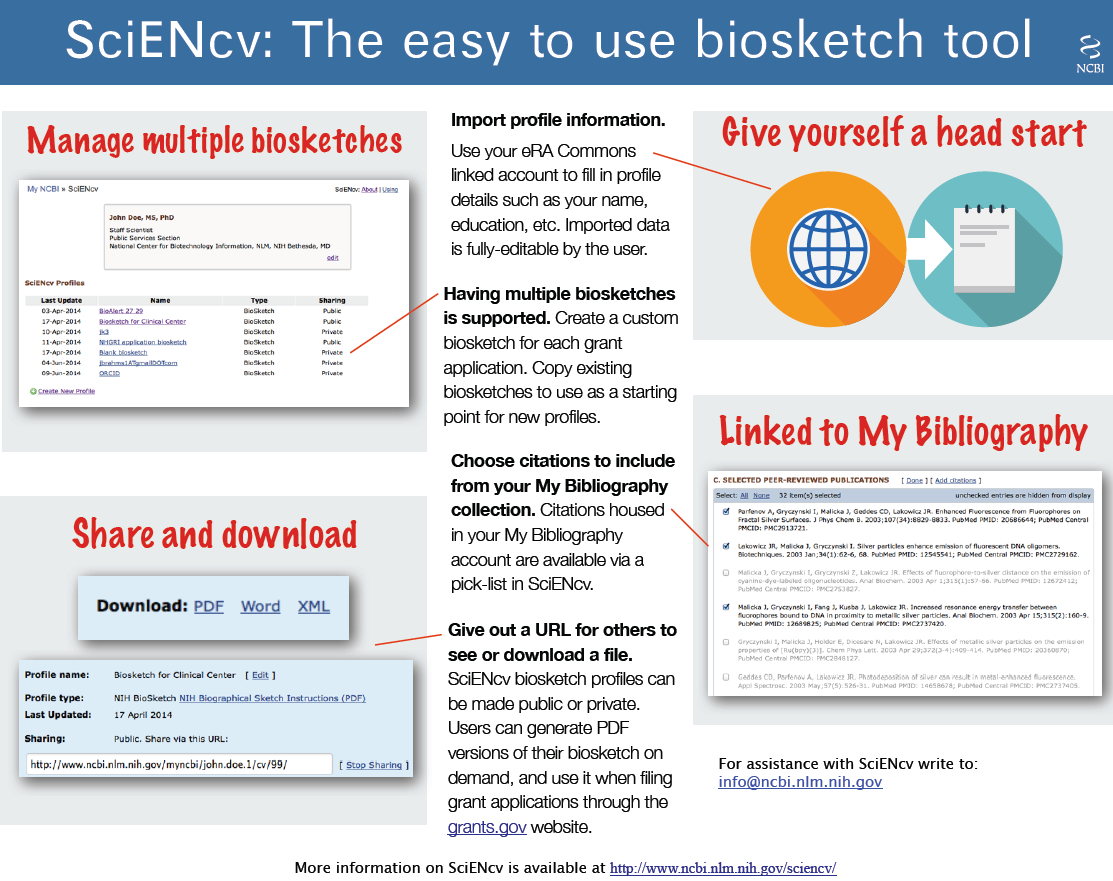 Nih Biosketch Template Word Sample Design Templates