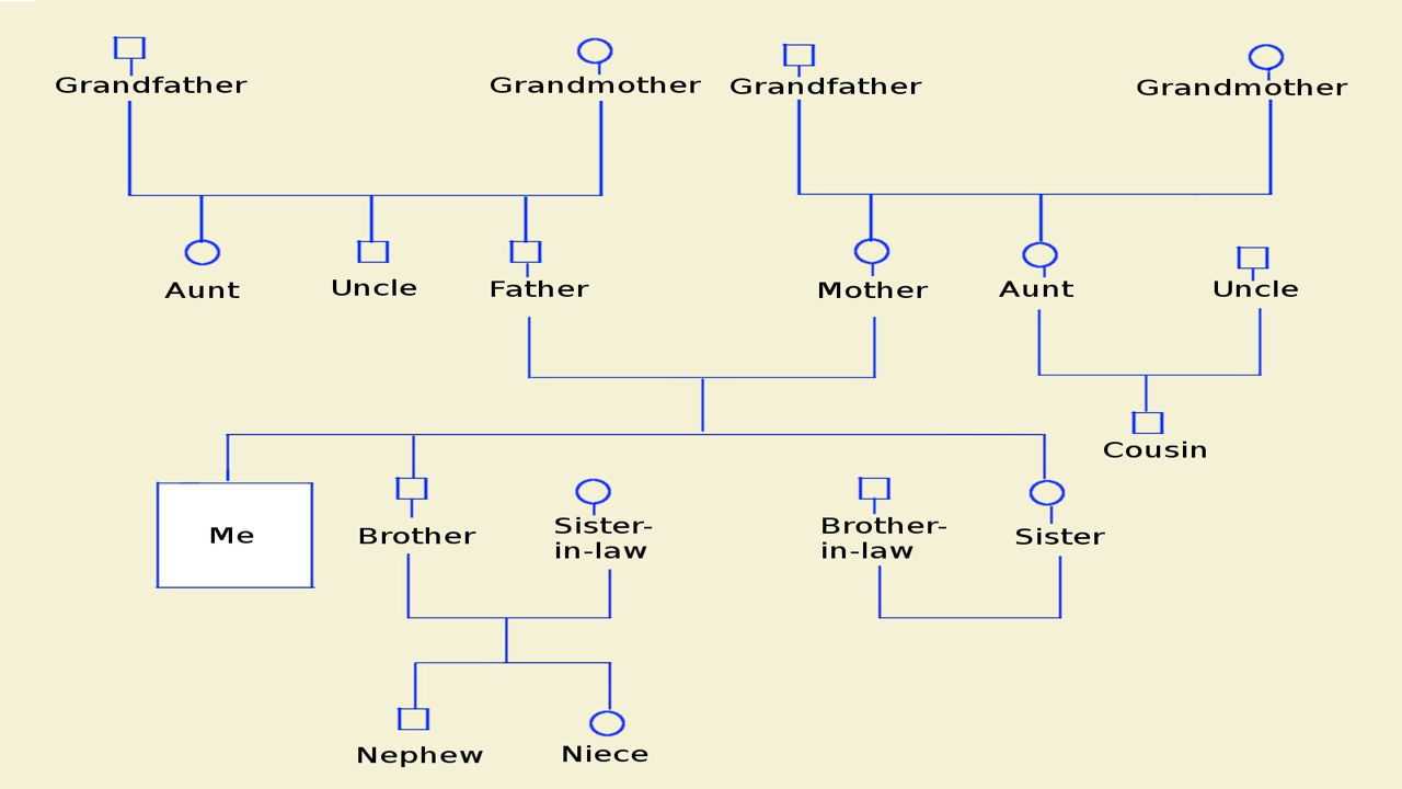 How To Make A Genogram Using Microsoft Word - Tech Spirited For Genogram Template For Word