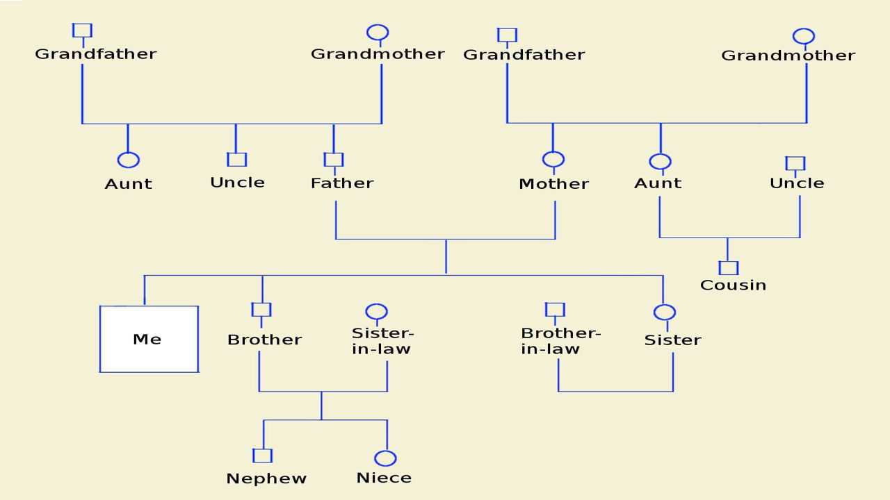 How To Make A Genogram Using Microsoft Word – Tech Spirited For Genogram Template For Word