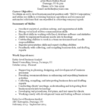 Kostenloses Entry Level Business Analyst Resume With Regard To Business Analyst Report Template