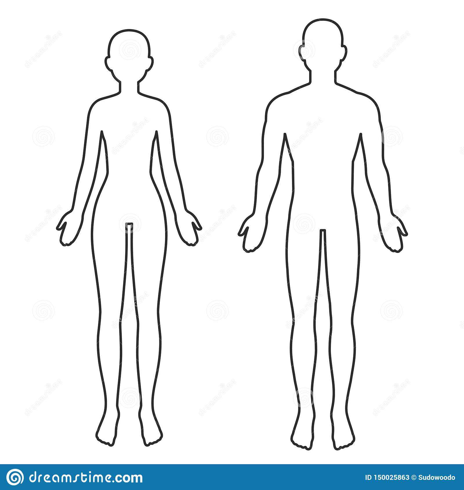 Male And Female Body Outline Stock Vector – Illustration Of Throughout Blank Body Map Template