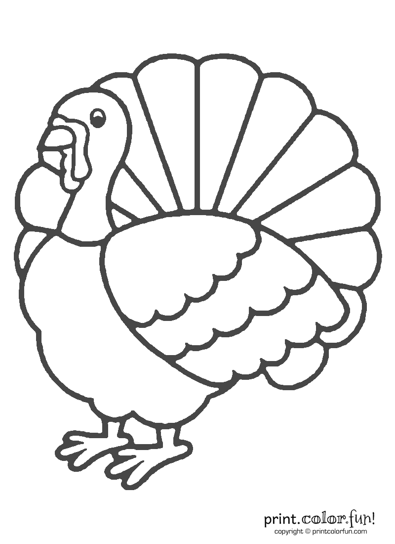 Male Turkey Coloring Pages 34 Best Turkey Images Coloring Within Blank Turkey Template