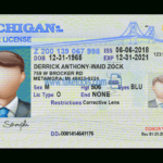 Michigan Driver License Psd Template Intended For Blank Drivers License Template