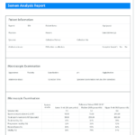 Modifi Ed Semen Analysis Report Template. The Main With Acceptance Test Report Template
