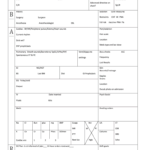 Nurse Brain Sheet Editable – Fill Online, Printable With Regard To Nursing Report Sheet Templates