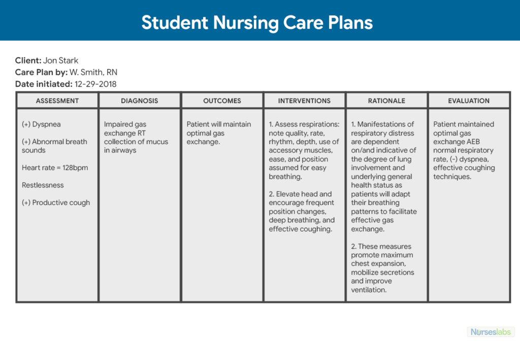 Nursing Care Plan Template Word Sampletemplate my id