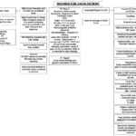 Nursing Rounds Worksheet | Printable Worksheets And Regarding Icu Report Template